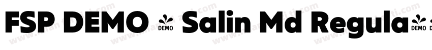 FSP DEMO - Salin Md Regula字体转换